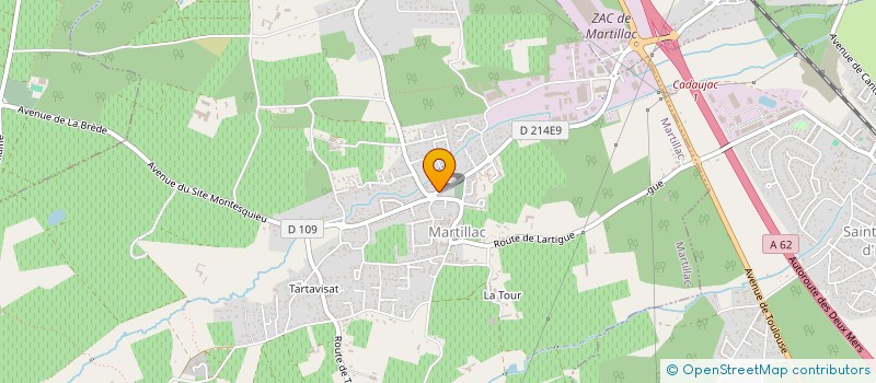 localisation de l'entreprise MONSIEUR DIDIER MENDEZ  MARTILLAC