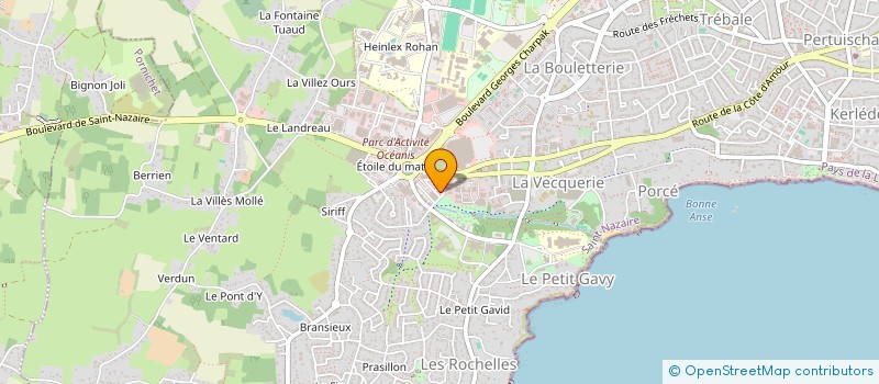 localisation de l'entreprise MONSIEUR DIDIER MOSSET  SAINT-NAZAIRE