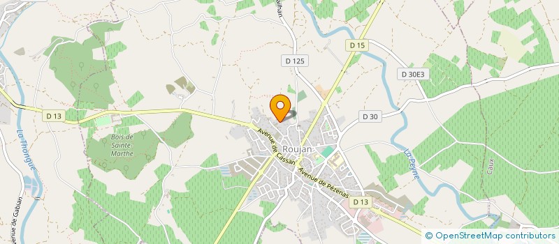 localisation de l'entreprise MONSIEUR DIDIER OLIVARES  ROUJAN