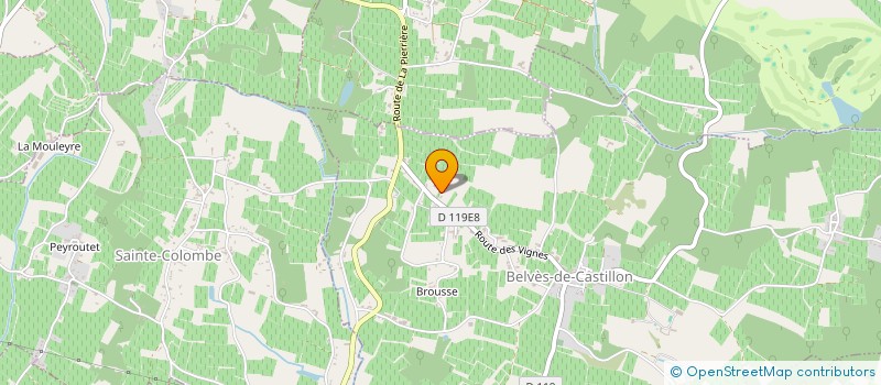 localisation de l'entreprise MONSIEUR DIDIER PALLARO à BELVES-DE-CASTILLON