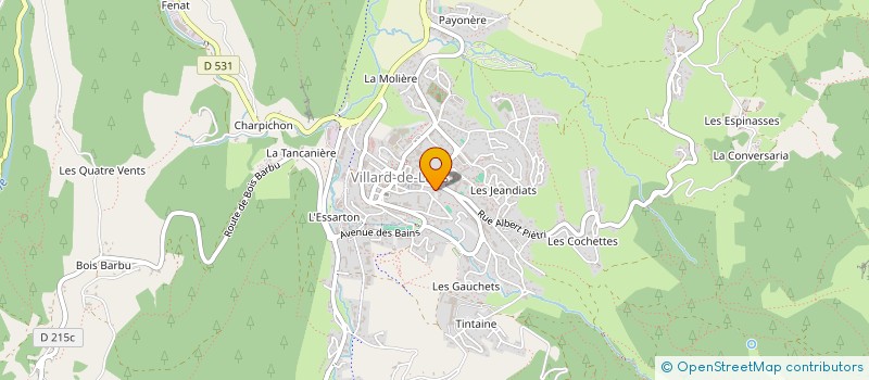 localisation de l'entreprise MONSIEUR DIDIER PELOSI à VILLARD-DE-LANS