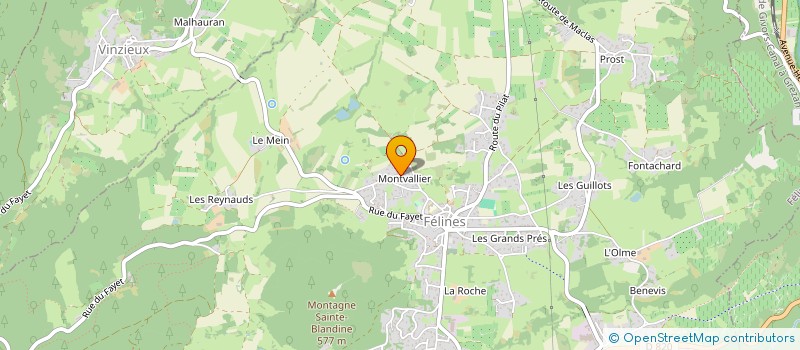 localisation de l'entreprise MONSIEUR DIDIER PLEINET  FELINES