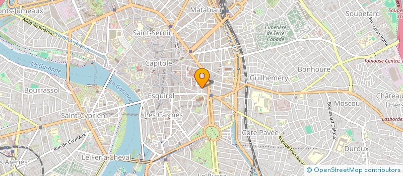 localisation de l'entreprise MONSIEUR DIDIER REINE à TOULOUSE