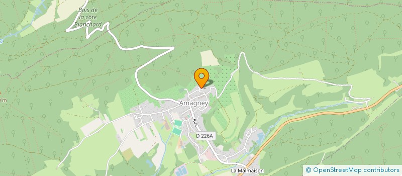 localisation de l'entreprise MONSIEUR DIDIER ROULIN  AMAGNEY