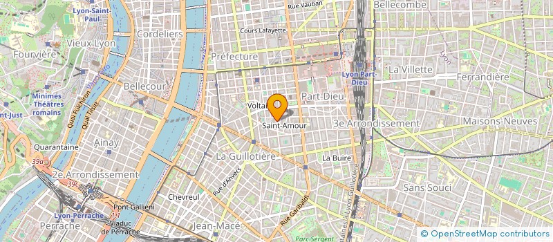 localisation de l'entreprise MONSIEUR DIDIER ROY  LYON