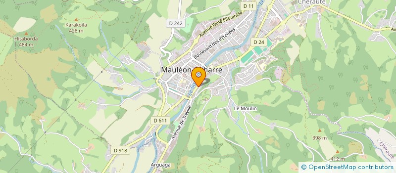 localisation de l'entreprise MONSIEUR DIDIER RUIZ à MAULEON-LICHARRE