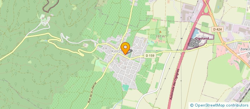 localisation de l'entreprise MONSIEUR DIDIER SCHAMM  KINTZHEIM