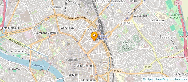localisation de l'entreprise MONSIEUR DIDIER SENTIS à TOULOUSE