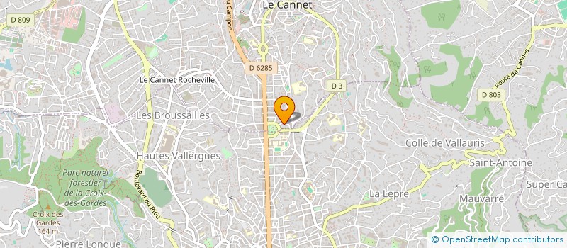 localisation de l'entreprise MONSIEUR DIDIER SOLDINI à LE CANNET