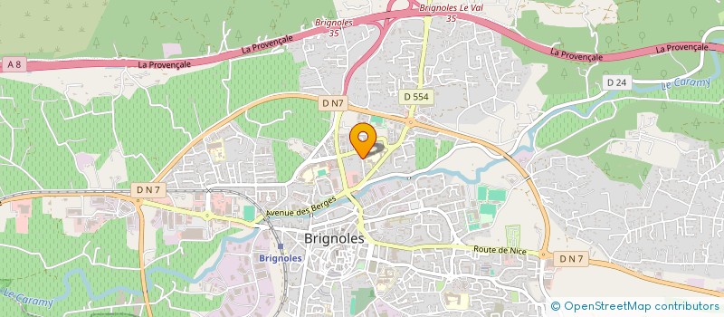 localisation de l'entreprise MONSIEUR DIDIER THEREYZOL à BRIGNOLES