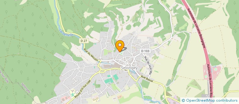 localisation de l'entreprise MONSIEUR DIDIER VERNEY  SELONGEY