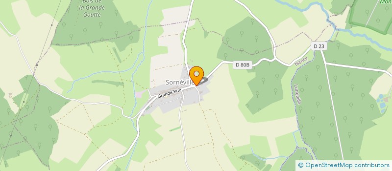 localisation de l'entreprise MONSIEUR DIDIER VINCENT  SORNEVILLE