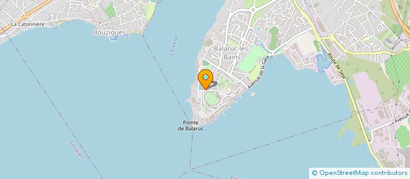 localisation de l'entreprise MONSIEUR DIDIER WATRIN  BALARUC-LES-BAINS