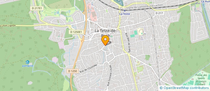 localisation de l'entreprise MONSIEUR DIDIER WIET à LA TESTE-DE-BUCH