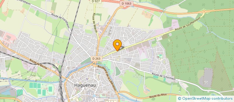 localisation de l'entreprise MONSIEUR DIDIER ZUMSTEIN à HAGUENAU