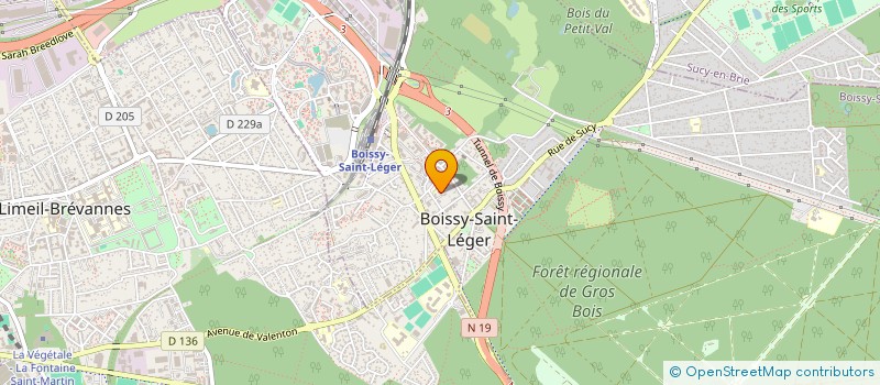 localisation de l'entreprise MONSIEUR DIDRICK HEUREUSE à BOISSY-SAINT-LEGER