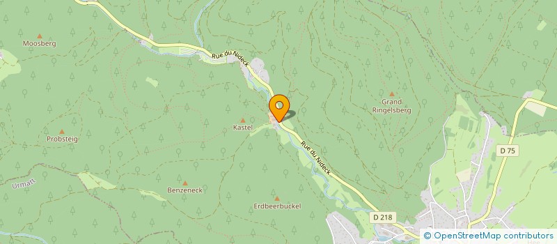 localisation de l'entreprise MONSIEUR DIEGO CENTURIAO SOARES  OBERHASLACH