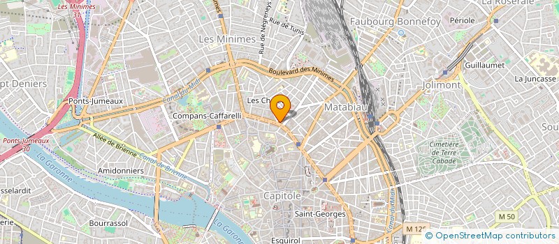 localisation de l'entreprise MONSIEUR DIEGO GONZALEZ BARRIL à TOULOUSE