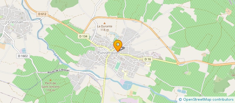 localisation de l'entreprise MONSIEUR DIEGO LOPEZ  PUISSERGUIER