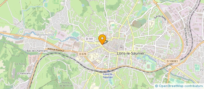 localisation de l'entreprise MONSIEUR DIEGO RIZZI à LONS-LE-SAUNIER