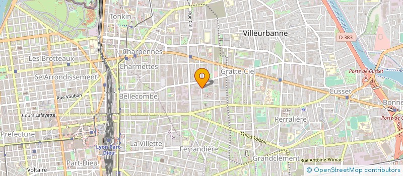 localisation de l'entreprise MONSIEUR DIEGO SIANI  VILLEURBANNE