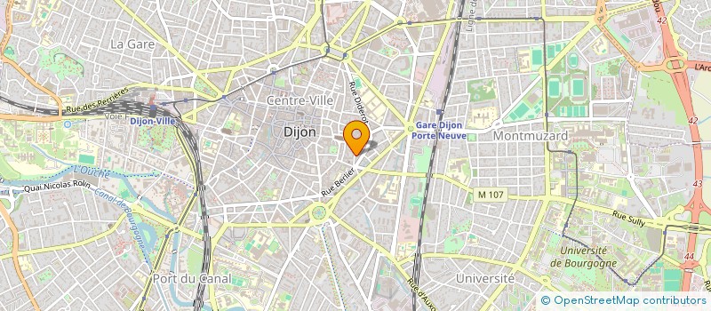 localisation de l'entreprise MONSIEUR DIETER BAEKELANDT à DIJON