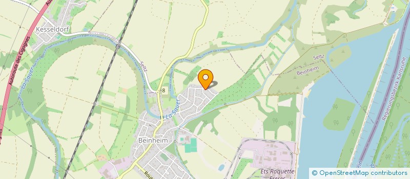 localisation de l'entreprise MONSIEUR DIETER MIKOLAJCZAK  BEINHEIM