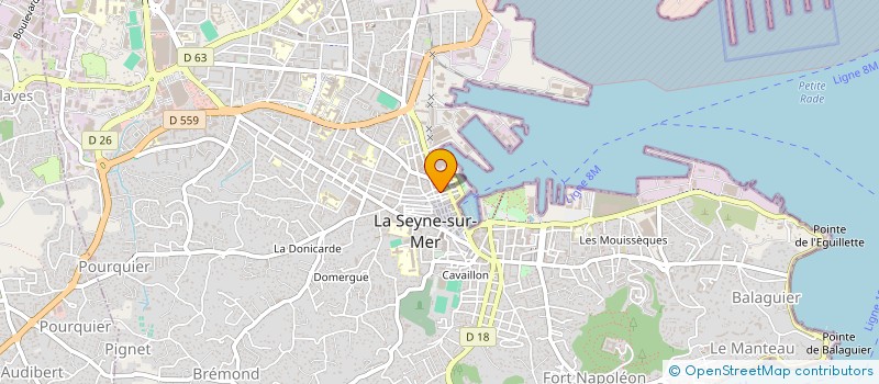 localisation de l'entreprise MONSIEUR DIEUDONNE KILOUKA à LA SEYNE-SUR-MER