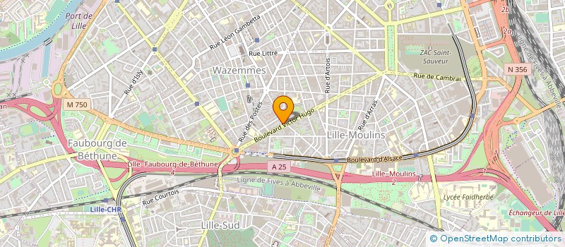 localisation de l'entreprise MONSIEUR DIEUDONNE ROUFFI à LILLE
