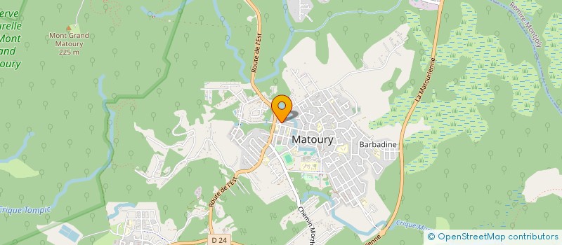localisation de l'entreprise MONSIEUR DILMA FAUSTIN à MATOURY