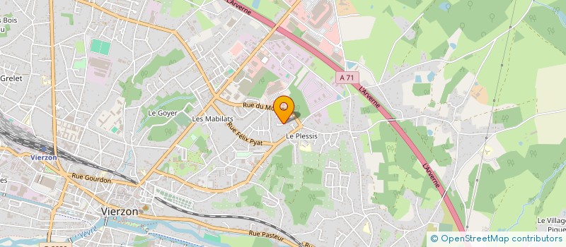 localisation de l'entreprise MONSIEUR DIMITRI ALLAIN  VIERZON