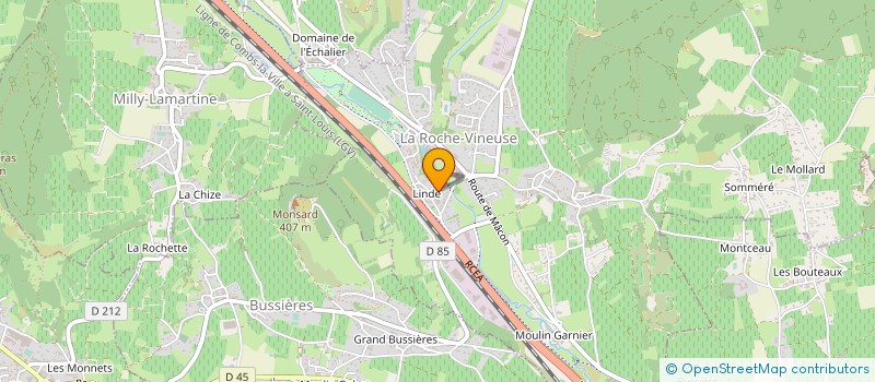 localisation de l'entreprise MONSIEUR DIMITRI BONNETAIN  LA ROCHE-VINEUSE