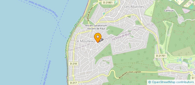 localisation de l'entreprise MONSIEUR DIMITRI BOUZONIE à LA TESTE-DE-BUCH