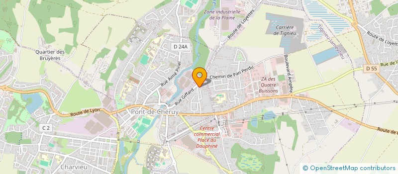 localisation de l'entreprise MONSIEUR DIMITRI BRANCO BRAGA  PONT-DE-CHERUY