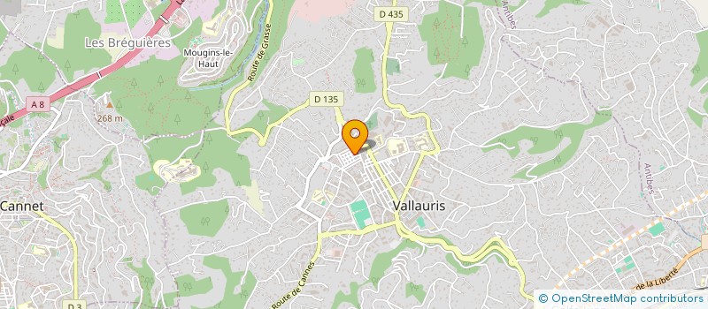 localisation de l'entreprise MONSIEUR DIMITRI DAMIENS  VALLAURIS