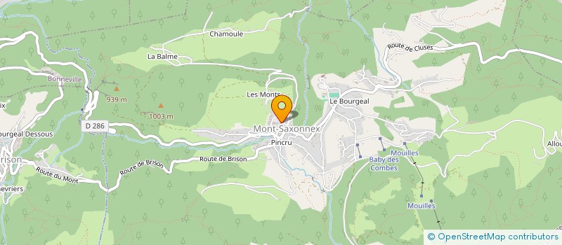 localisation de l'entreprise MONSIEUR DIMITRI DONAT-MAGNIN  THONES