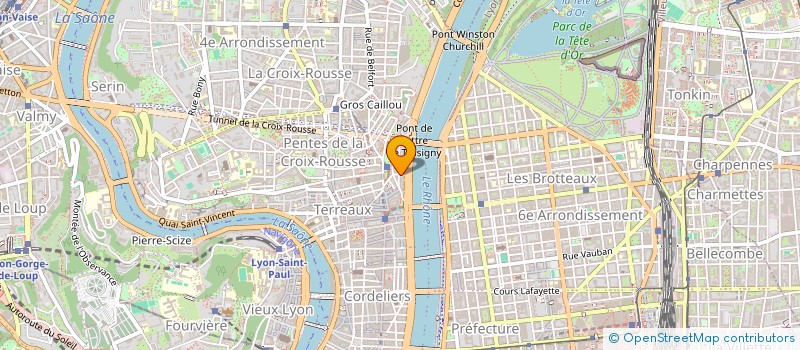 localisation de l'entreprise MONSIEUR DIMITRI DUBOIS à LYON