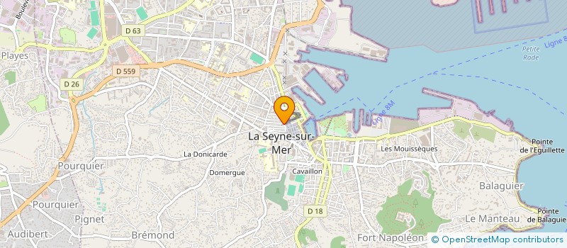 localisation de l'entreprise MONSIEUR DIMITRI DUCHON à LA SEYNE-SUR-MER