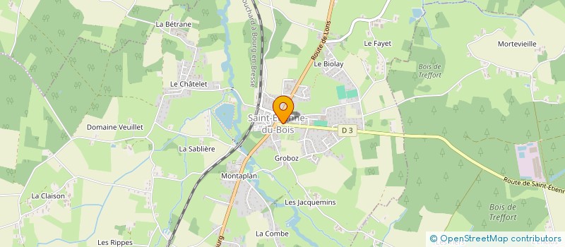 localisation de l'entreprise MONSIEUR DIMITRI GALLET  SAINT-ETIENNE-DU-BOIS