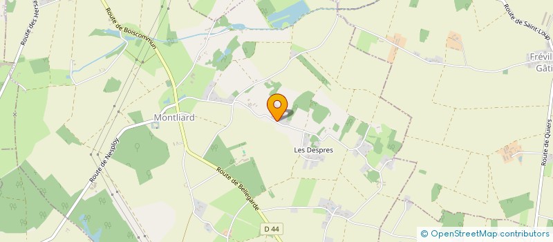 localisation de l'entreprise MONSIEUR DIMITRI GILLES à MONTLIARD