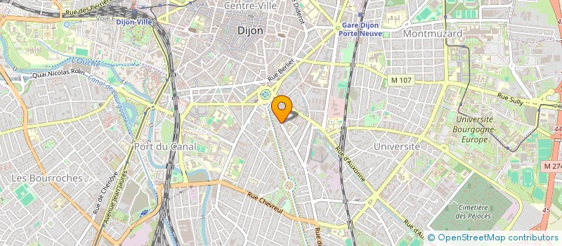 localisation de l'entreprise MONSIEUR DIMITRI LE ROY  DIJON