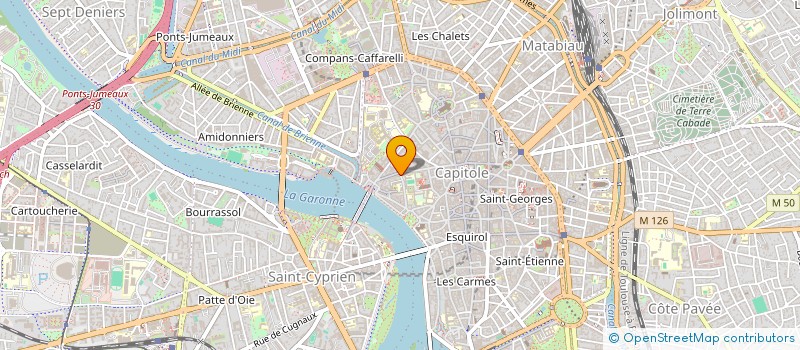 localisation de l'entreprise MONSIEUR DIMITRI LERNOUD  TOULOUSE