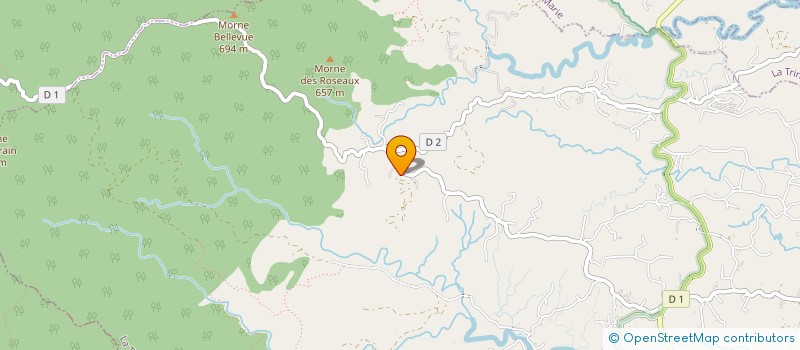 localisation de l'entreprise MONSIEUR DIMITRI LEZIN  GROS-MORNE