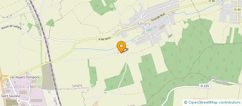 localisation de l'entreprise MONSIEUR DIMITRI MANZINI  SALIGNY