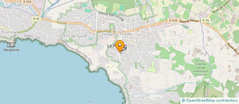 localisation de l'entreprise MONSIEUR DIMITRI MORIAMEZ à LE PRADET