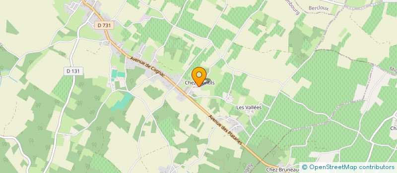 localisation de l'entreprise MONSIEUR DIMITRI QUANTIN  BRIZAMBOURG