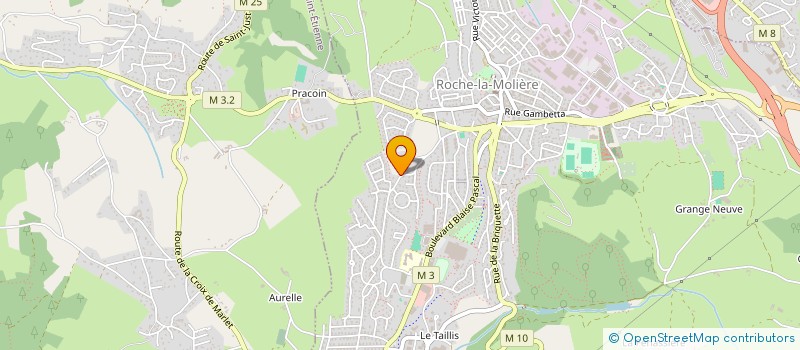 localisation de l'entreprise MONSIEUR DIMITRI SOUCHON  ROCHE-LA-MOLIERE