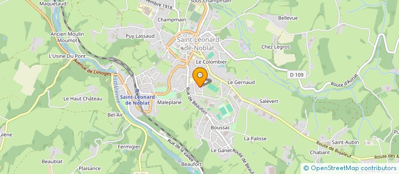 localisation de l'entreprise MONSIEUR DIMITRI TUFFREAU  SAINT-LEONARD-DE-NOBLAT