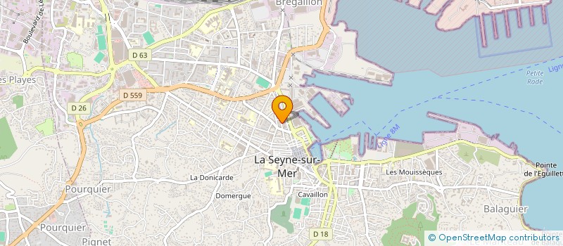 localisation de l'entreprise MONSIEUR DIMITRI VORONTSOV à LA SEYNE-SUR-MER