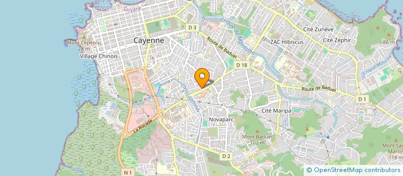 localisation de l'entreprise MONSIEUR DINALDO VIEIRA DE SOUSA  CAYENNE